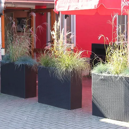 Restaurant Hochdorfer Hirschen Hotel 3*