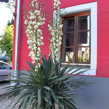 Szálloda Hochdorfer Hirschen