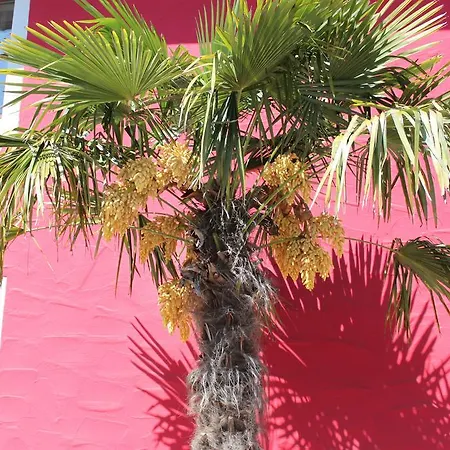 Restaurant Hochdorfer Hirschen Hotel Freiburg im Breisgau