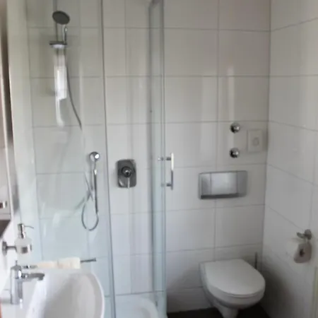 Hochdorfer Hirschen 3* Freiburg im Breisgau