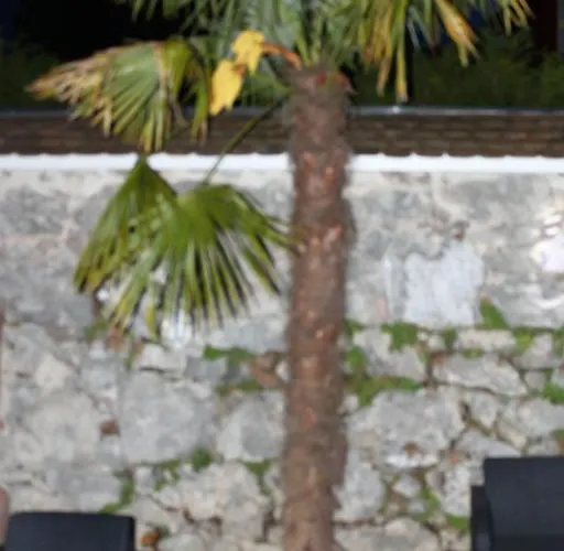 Hochdorfer Hirschen Hotel 3*